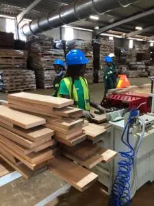 laminated timber manufacture